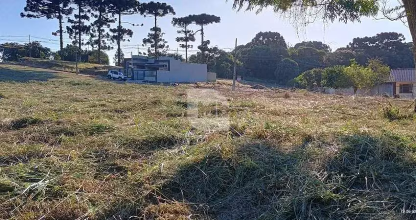 Terreno à venda na Rua Anastácia Gawleta Drobzenski, 270, Costeira, Araucária