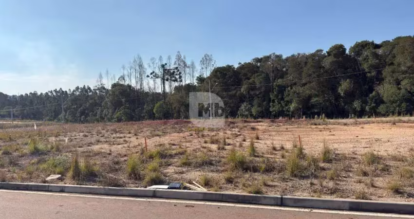 Terreno à venda na Genoveva Machniewicz, 549, Costeira, Araucária