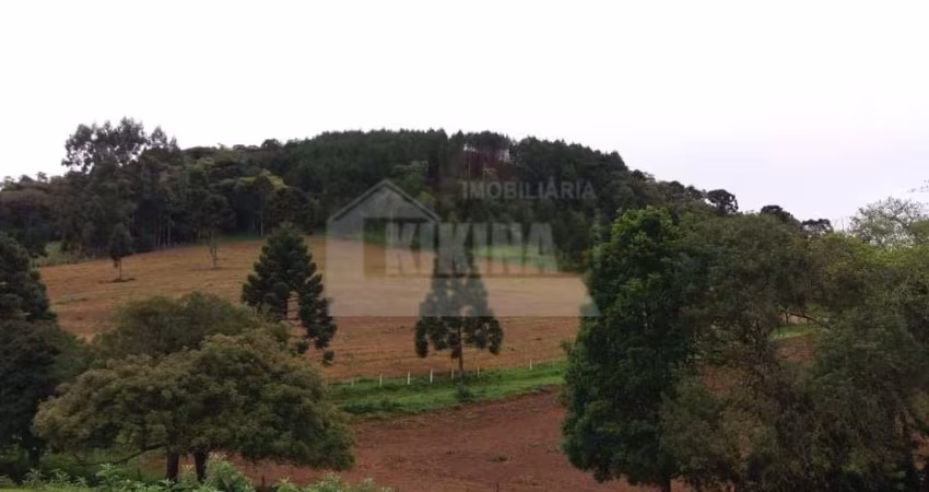 Chácara à venda, 193000.00 m2 por R$700000.00  - Socavao - Castro/PR