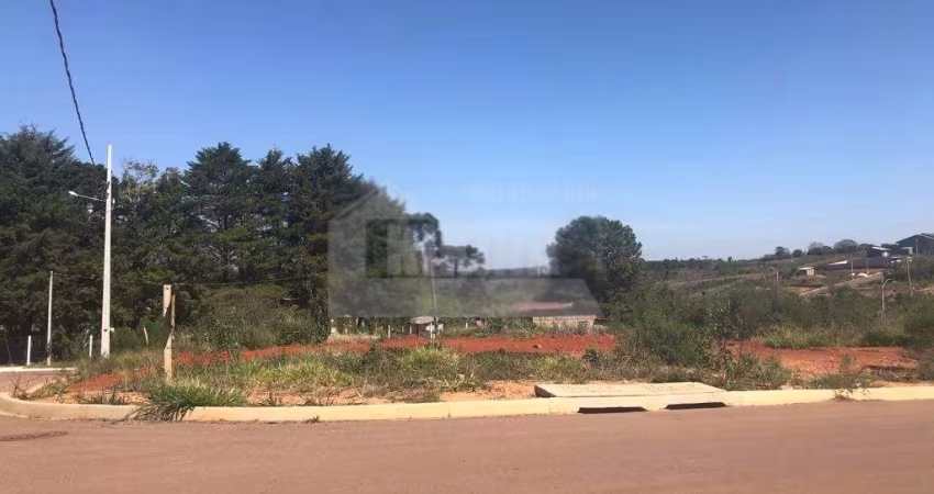 Terreno à venda, 308.00 m2 por R$125000.00  - Uvaranas - Ponta Grossa/PR