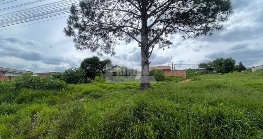 Terreno à venda, 242.00 m2 por R$65000.00  - Cara Cara - Ponta Grossa/PR