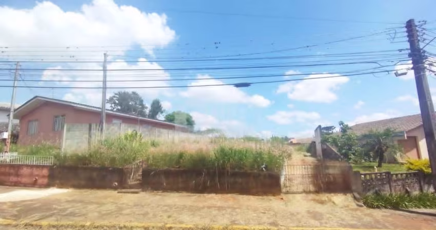 Terreno à venda, 565.00 m2 por R$350000.00  - Colonia Dona Luiza - Ponta Grossa/PR
