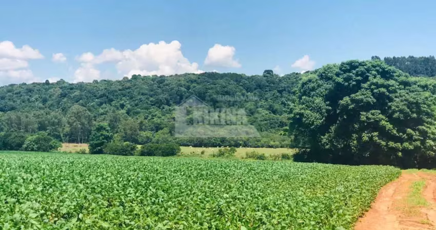 Chácara à venda, 112085.00 m2 por R$3500000.00  - Colonia Dona Luiza - Ponta Grossa/PR