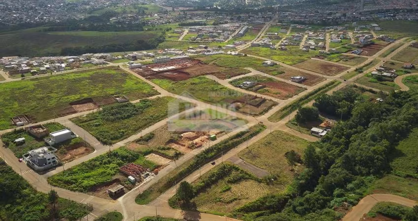 Terreno à venda, 300.00 m2 por R$100000.00  - Cara Cara - Ponta Grossa/PR