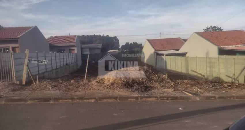Terreno à venda, 390.00 m2 por R$95000.00  - Chapada - Ponta Grossa/PR