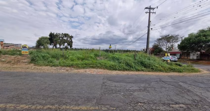 Terreno à venda, 420.75 m2 por R$150000.00  - Colonia Dona Luiza - Ponta Grossa/PR