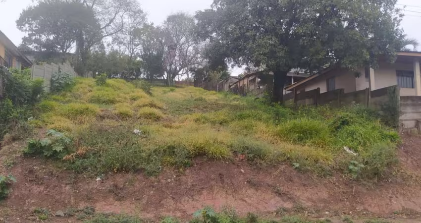 Terreno à venda, 490.00 m2 por R$120000.00  - Uvaranas - Ponta Grossa/PR