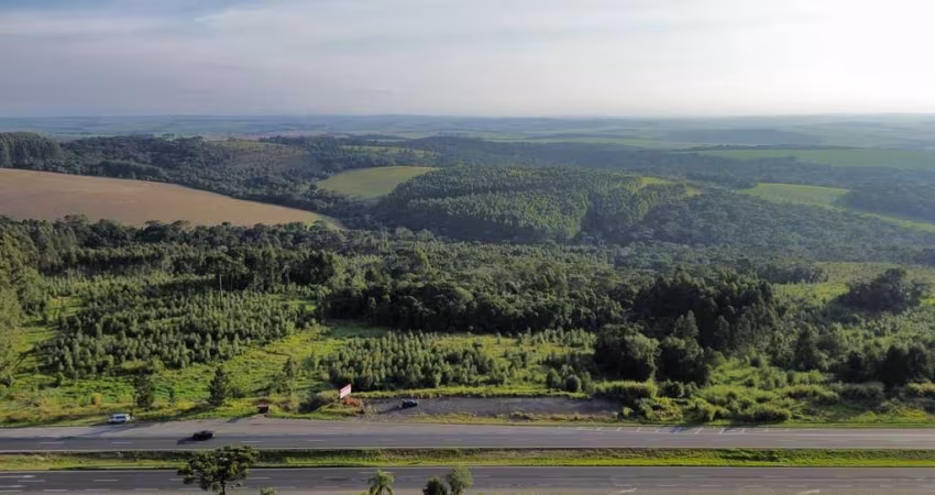 Terreno à venda, 221964.00 m2 por R$5900000.00  - Chapada - Ponta Grossa/PR