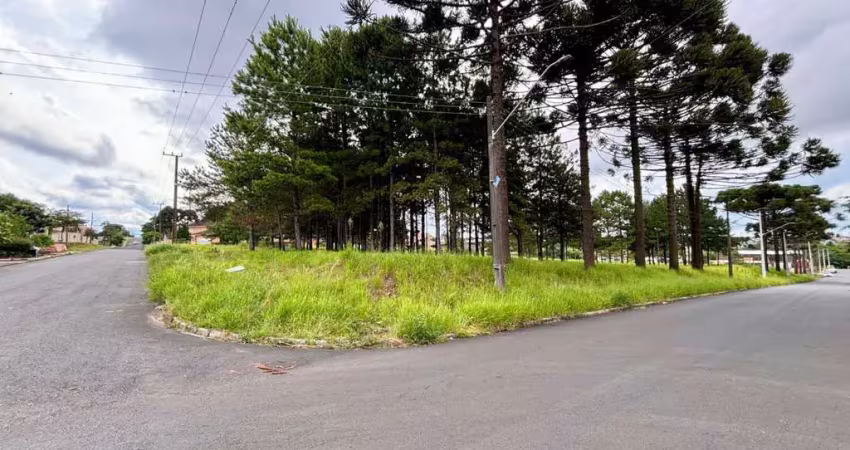 Terreno à venda, 10962.00 m2 por r$8770000.00  - jardim carvalho - ponta grossa/pr