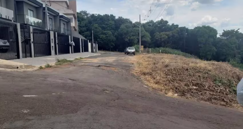 Terreno à venda, 560.73 m2 por r$380000.00  - estrela - ponta grossa/pr