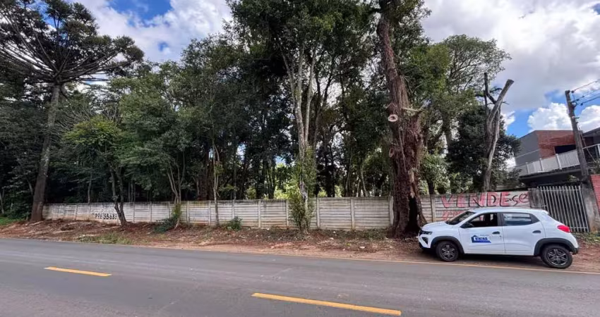 Terreno à venda, 7956.92 m2 por r$4300000.00  - uvaranas - ponta grossa/pr