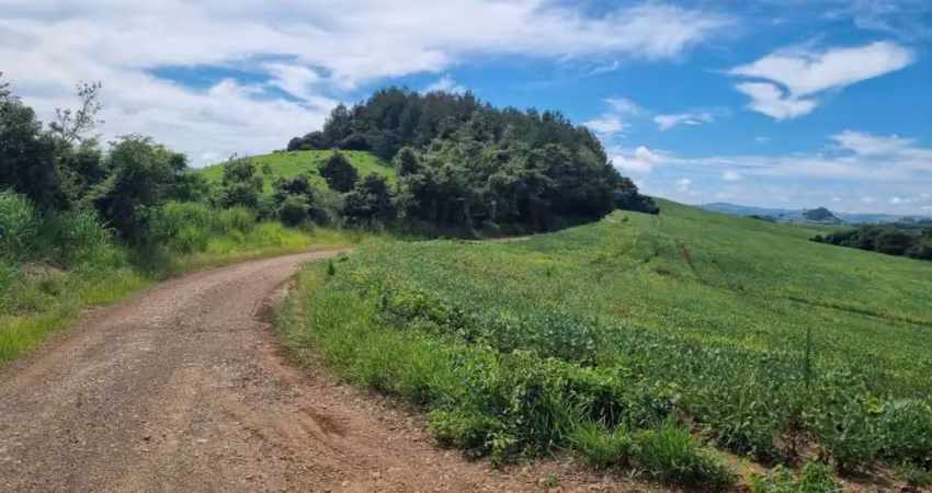Fazenda à venda, 0.00 m2 por r$13500000.00  - reserva - reserva/pr