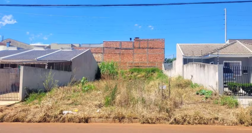 Terreno à venda, 300.00 m2 por R$155000.00  - Cara Cara - Ponta Grossa/PR