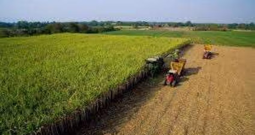 Fazenda à venda, 0.00 m2 por R$75000000.00  - Rural - Quata/SP