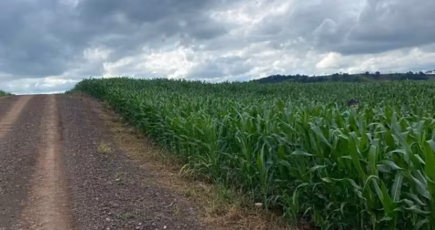 Chácara à venda, 0.00 m2 por r$3000000.00  - rural - kalore/pr