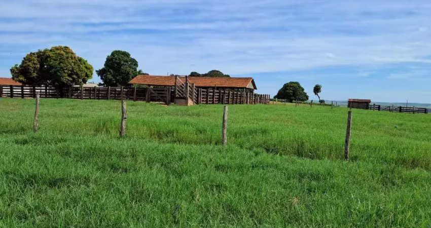 Fazenda à venda, 4501200.00 m2 por r$31620000.00  - area rural de umuarama - umuarama/pr