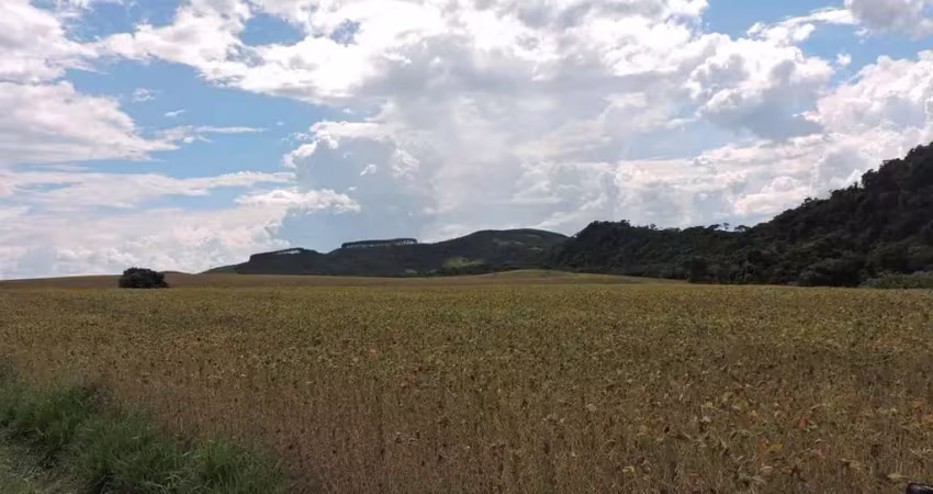 Fazenda à venda, 1089000.00 m2 por r$5800000.00  - rural - candido de abreu/pr