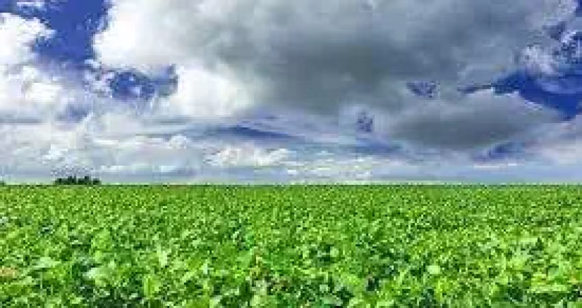 Fazenda à venda, 24200000.00 m2 por r$200000000.00  - rural - colider/mt