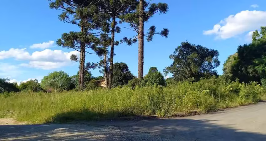 Terreno à venda, 0.00 m2 por r$450000.00  - engenheiro gutierrez - irati/pr