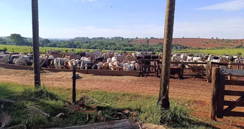 Fazenda à venda, 2613600.00 m2 por r$18360000.00  - area rural de umuarama - umuarama/pr
