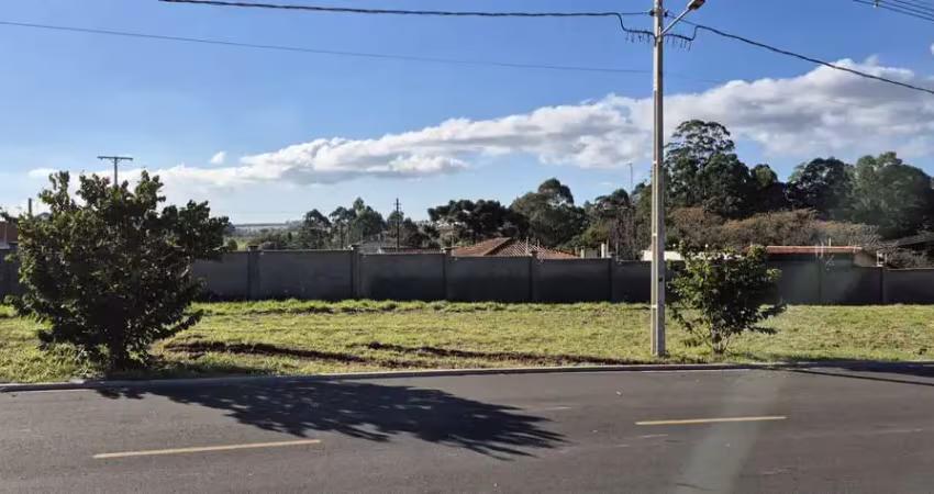 Terreno à venda, 262.00 m2 por r$245000.00  - uvaranas - ponta grossa/pr