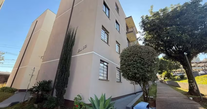 Apartamento com 3 quartos  para alugar, 65.00 m2 por r$900.00  - colonia dona luiza - ponta grossa/pr