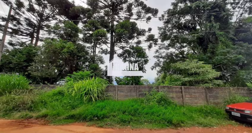 Terreno à venda, 1156.00 m2 por R$600000.00  - Uvaranas - Ponta Grossa/PR