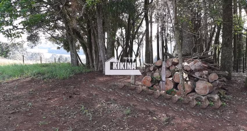 Área à venda, 21541.00 m2 por R$240000.00  - Area Rural - Catanduvas/PR