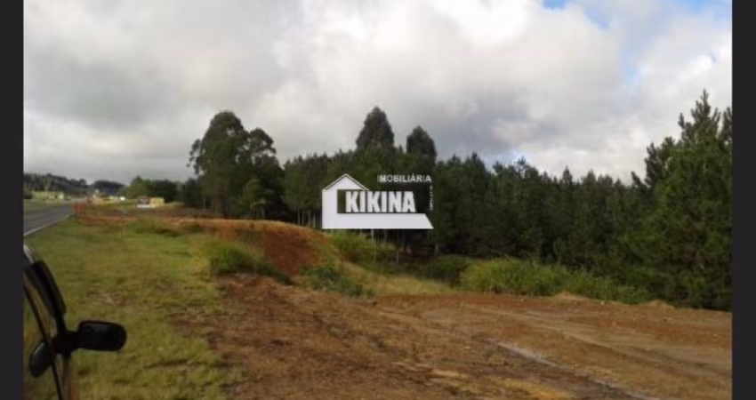 Terreno à venda, 313688.00 m2 por R$6500000.00  - Colonia Dona Luiza - Ponta Grossa/PR
