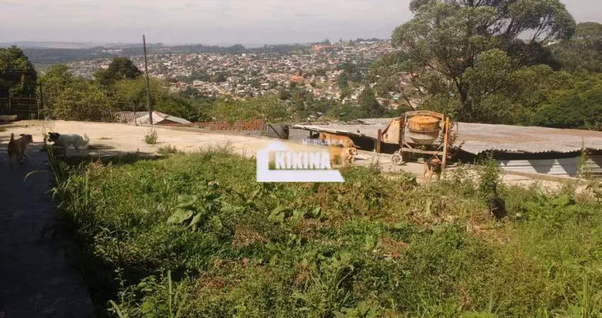 Terreno à venda, 1100.00 m2 por r$350000.00  - nova russia - ponta grossa/pr