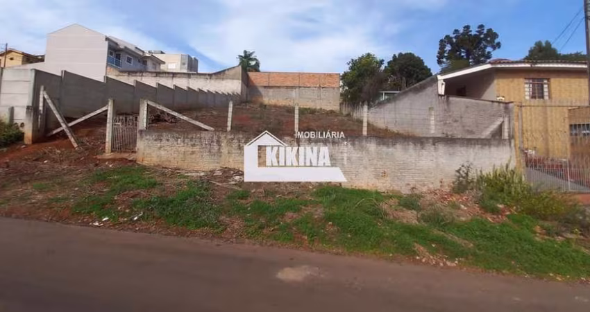 Terreno à venda, 462.00 m2 por R$220000.00  - Estrela - Ponta Grossa/PR