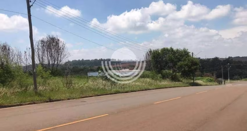 Terreno Comercial à venda, Betel, Paulínia