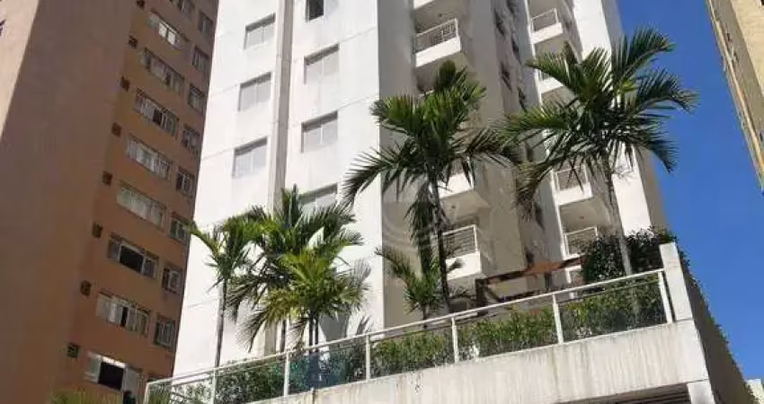 Apartamento Centro Locação Campinas
