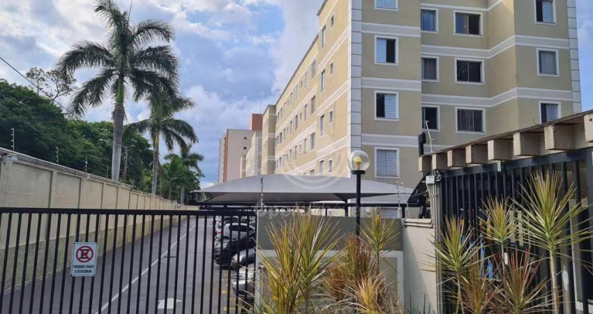 Apartamento com 2 dormitórios para alugar - Jardim Boa Esperança - Campinas/SP