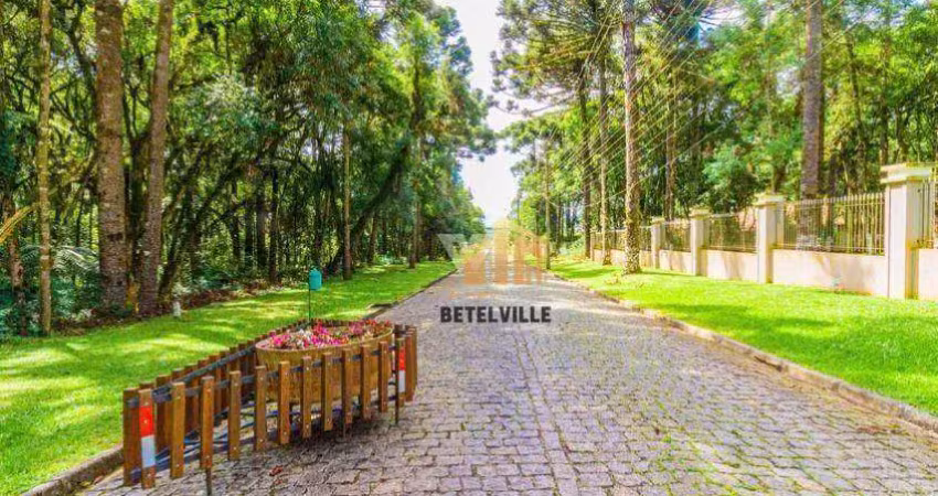 Terreno à venda, 3603 m² por r$ 1.100.000,00 - jardim esmeralda - piraquara/pr