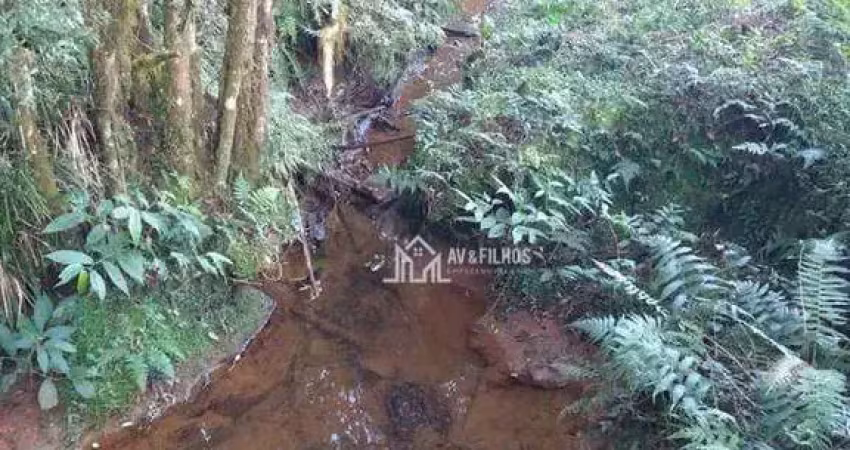 Terreno Residencial à venda, Centro, Bocaiúva do Sul - TE0040.