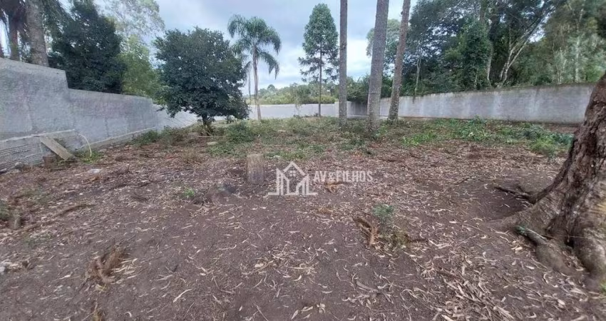TERRENO - VILA ROSA