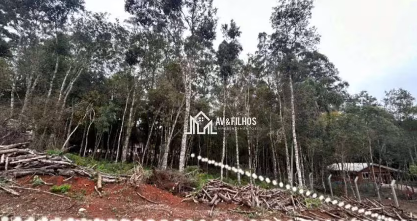 Chácara em condomínio   1.560,72 m²  à venda por  r$ 185.000,00.