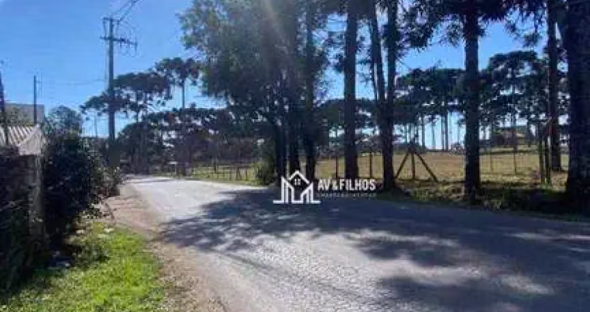 Terreno à venda, 261 m² por r$ 186.500,00 - guarituba - piraquara/pr