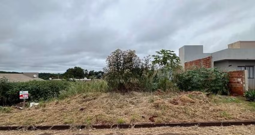 Terreno com 456m2 no Bairro Vila Gaúcha