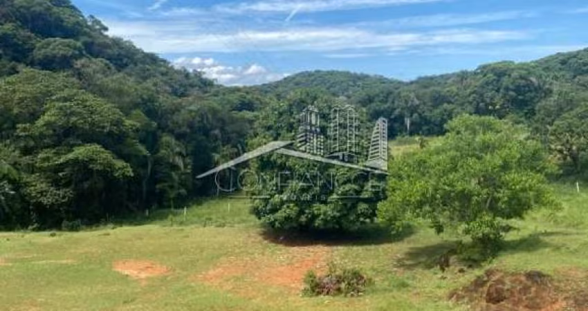 Fazenda à venda na Rodovia Deputado Miguel Bufara, Centro, Antonina