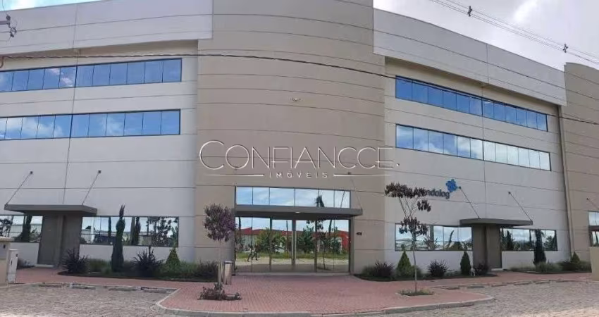 Sala comercial para alugar na Rua Francisco Munõz Madrid, Roseira de São Sebastião, São José dos Pinhais
