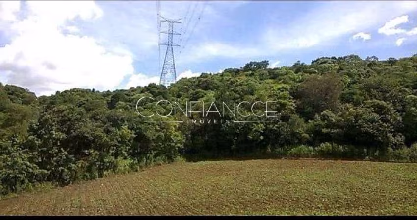Terreno comercial à venda na Rua João Jacob Manfron Neto, 100, Centro, Campo Magro