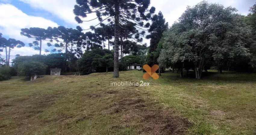 Chácara à venda, 142846 m² por r$ 6.000.000,00 - guarituba - piraquara/pr