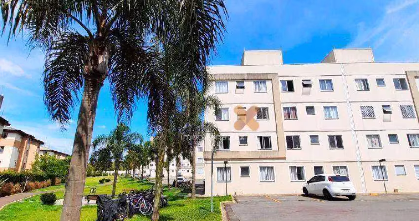 Apartamento com 2 dormitórios à venda, 38 m² por r$ 230.000,00 - colônia rio grande - são josé dos pinhais/pr