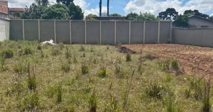 Terreno à venda em são josé dos pinhais-pr, borda do campo