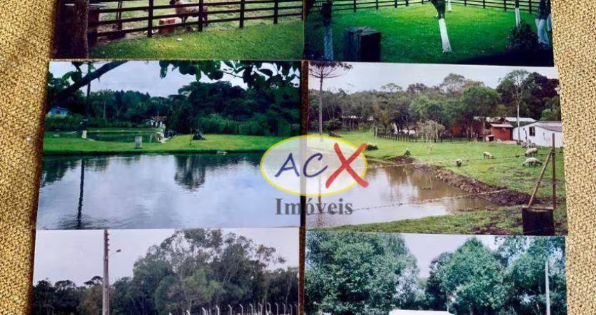 Chácara com 4 dormitórios à venda, 5300 m² por R$ 1.150.000,00 - Dom Rodrigo - São José dos Pinhais/PR
