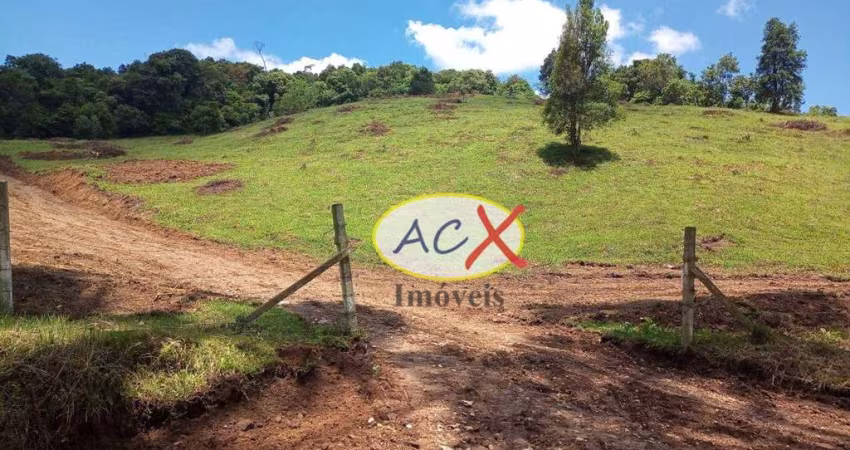 Terreno à venda, 10000 m² por R$ 300.000,00 - Pacotuba - Almirante Tamandaré/PR