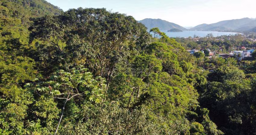 Terreno, Recanto Lagoinha, Ubatuba - R$ 860 mil, Cod: 2419
