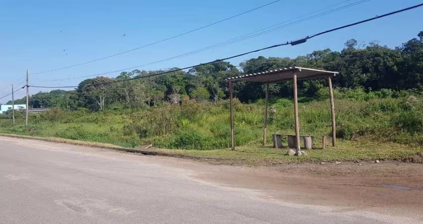 Terreno para Venda em Itanhaém, Jardim Coronel